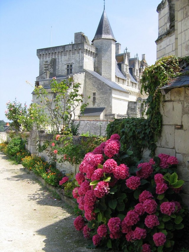 Замок Монсоро (Château de Montsoreau)