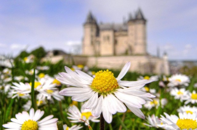 Замок Сомюр (Сhâteau de Saumur)