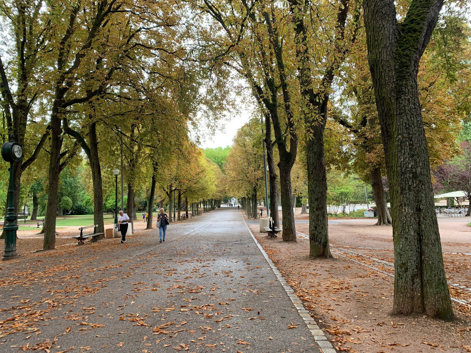 Парк Пепиньер (Parc de la Pépinière): отдых на природе